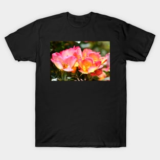 Roses in Bloom T-Shirt